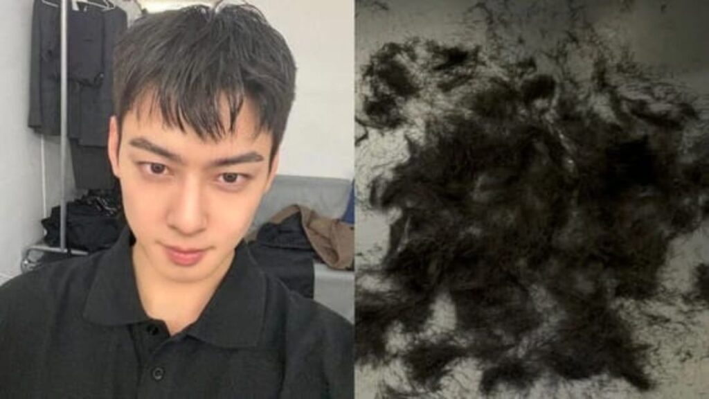 Cha Eun woo New Haircut